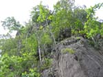 /edaranclassic/gallery/Mangroves/thumbnails/IMG_1821.jpg