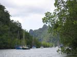 /edaranclassic/gallery/Mangroves/thumbnails/IMG_1839.jpg