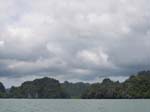 /edaranclassic/gallery/Mangroves/thumbnails/IMG_1932.jpg