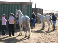 /international/2006Walvisbay/images/Arrival/thumbnails/IMG_8801.jpg