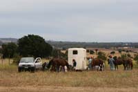 /international/Chile/2007SantoDomingo/Gallery/Dec5_TryingHorses/thumbnails/IMG_2527.jpg