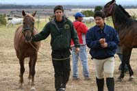 /international/Chile/2007SantoDomingo/Gallery/Dec5_TryingHorses/thumbnails/IMG_2539.jpg