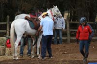 /international/Chile/2007SantoDomingo/Gallery/Dec5_TryingHorses/thumbnails/IMG_2577.jpg