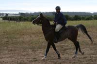 /international/Chile/2007SantoDomingo/Gallery/Dec5_TryingHorses/thumbnails/IMG_2623.jpg