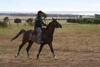 /international/Chile/2007SantoDomingo/Gallery/Dec5_TryingHorses/thumbnails/IMG_2630.jpg