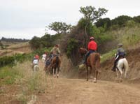 /international/Chile/2007SantoDomingo/Gallery/Dec5_TryingHorses2/thumbnails/IMG_8467.jpg