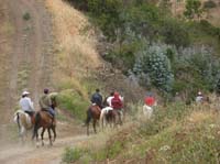 /international/Chile/2007SantoDomingo/Gallery/Dec5_TryingHorses2/thumbnails/IMG_8533.jpg