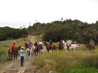 /international/Chile/2007SantoDomingo/Gallery/Dec5_TryingHorses2/thumbnails/IMG_8551.jpg