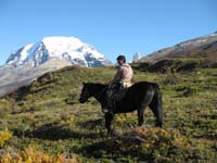 /international/Chile/2009TorresDelPaine/gallery/may1_ride/thumbnails/IMG_4087.jpg