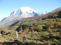 /international/Chile/2009TorresDelPaine/gallery/may1_ride/thumbnails/IMG_4097.jpg