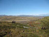 /international/Chile/2009TorresDelPaine/gallery/may1_ride/thumbnails/IMG_4098.jpg