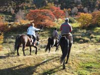 /international/Chile/2009TorresDelPaine/gallery/may1_ride/thumbnails/IMG_4128.jpg