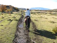 /international/Chile/2009TorresDelPaine/gallery/may1_ride/thumbnails/IMG_4228.jpg