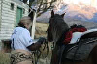 /international/Chile/2009TorresDelPaine/gallery/may2_morning/thumbnails/IMG_5475.jpg