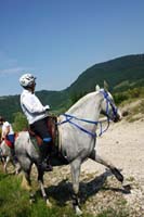 /international/Italy/2009Gubbio/gallery/CourseGallery/thumbnails/IMG_5664.jpg