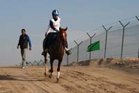 /international/UAE/2008AlNayhanLadiesChallenge/Gallery/ride_day/thumbnails/IMG_7071.jpg