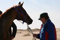 /international/UAE/2008AlNayhanLadiesChallenge/Gallery/ride_day/thumbnails/IMG_7249.jpg