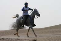 /international/UAE/2008DubaiWorldChallenge/Gallery/best/thumbnails/IMG_9313.jpg