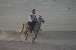 /international/UAE/2008PresidentsCup/Gallery/loop1best/thumbnails/IMG_3532.jpg