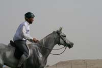 /international/UAE/2008PresidentsCup/Gallery/loop345best/thumbnails/IMG_5601.jpg