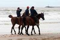 /international/Uruguay/2007Rocha/Gallery/Dec2_beach/thumbnails/IMG_1596.jpg