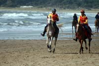 /international/Uruguay/2007Rocha/Gallery/Dec2_beach/thumbnails/IMG_1787.jpg