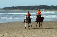 /international/Uruguay/2007Rocha/Gallery/Dec2_beach/thumbnails/IMG_1788.jpg