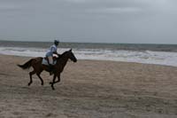 /international/Uruguay/2009PanAm/gallery/apr25_Road/thumbnails/IMG_4040.jpg