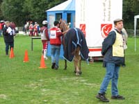 IMG_7557