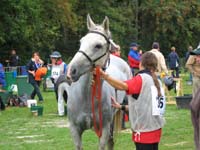 IMG_7559