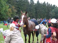 IMG_7565