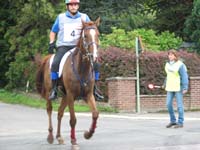 IMG_7581