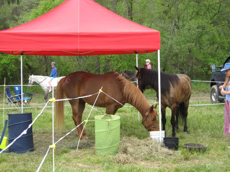 share tent and food