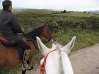 colombia/images/June21Gallery/thumbnails/IMG_0148.jpg