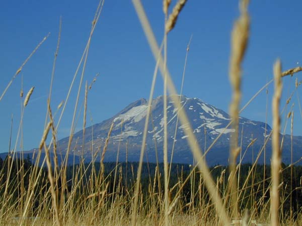 DSCN3930