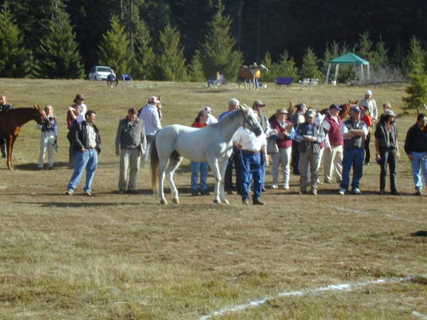 DSCN3950