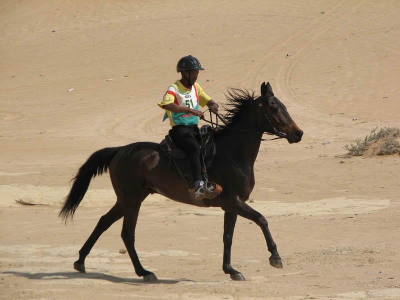 dune7 003