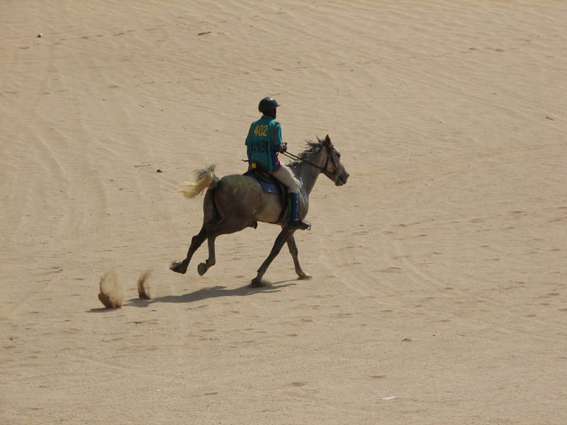 dune7 004