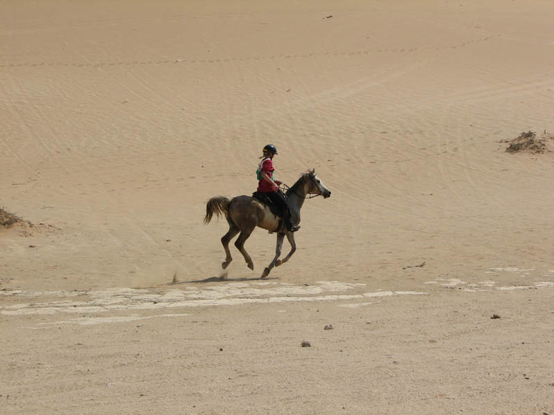 dune7 005
