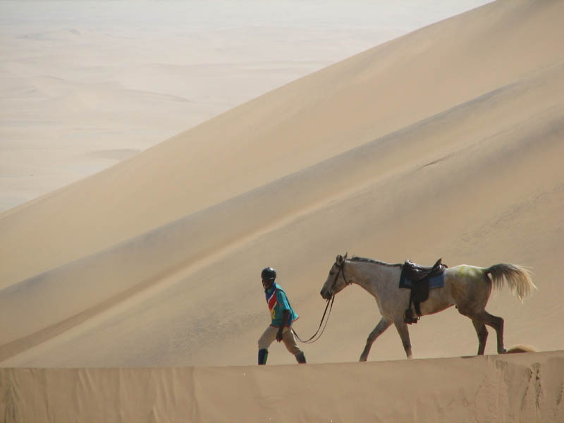 dune7 016