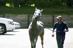 USEF-082012 061