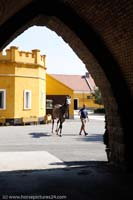 20090903_Babolna_MG_6588