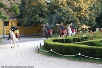 20090903_Babolna_MG_6597