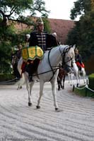 20090903_Babolna_MG_6600