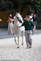 20090903_Babolna_MG_6638