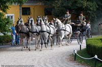 20090903_Babolna_MG_6650