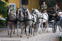 20090903_Babolna_MG_6656