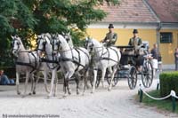 20090903_Babolna_MG_6667