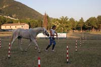 international/Italy/2008Gubbio/gallery/11GNCup/thumbnails/0806GUB_455.jpg