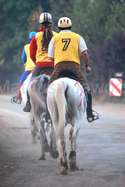 horses_on_the_rout160km